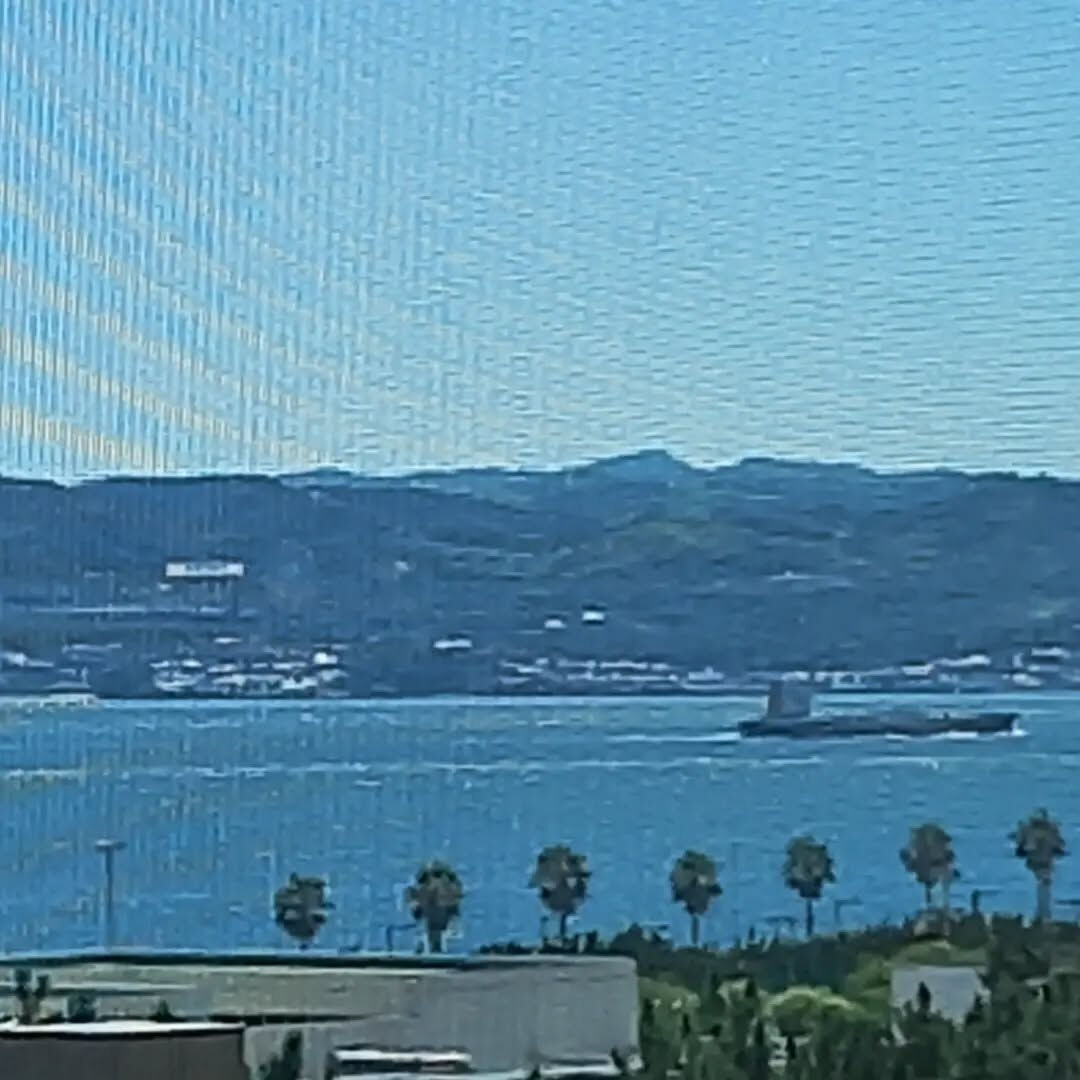 今日も、サロンから見える海の