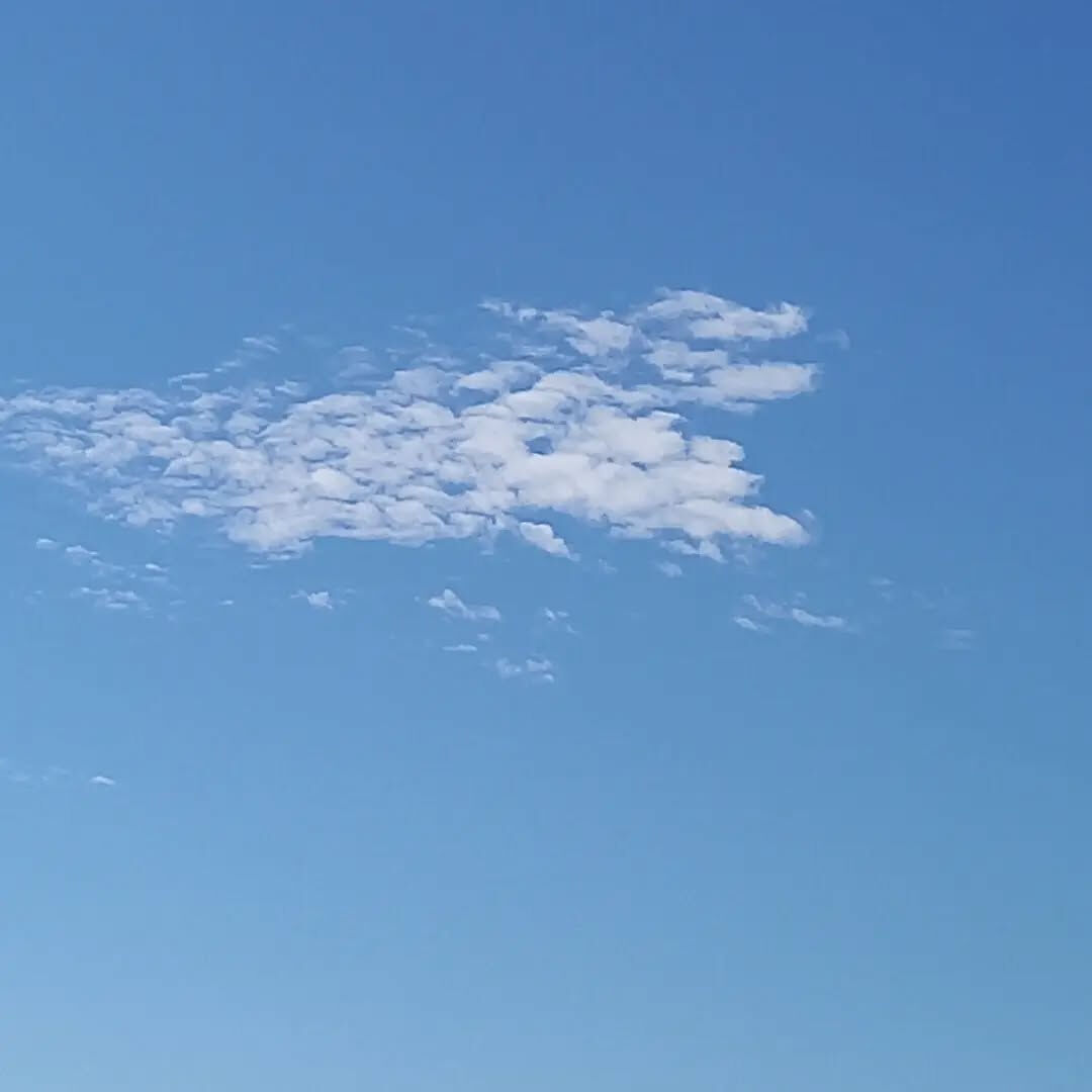 10月に入りましたね🤗
