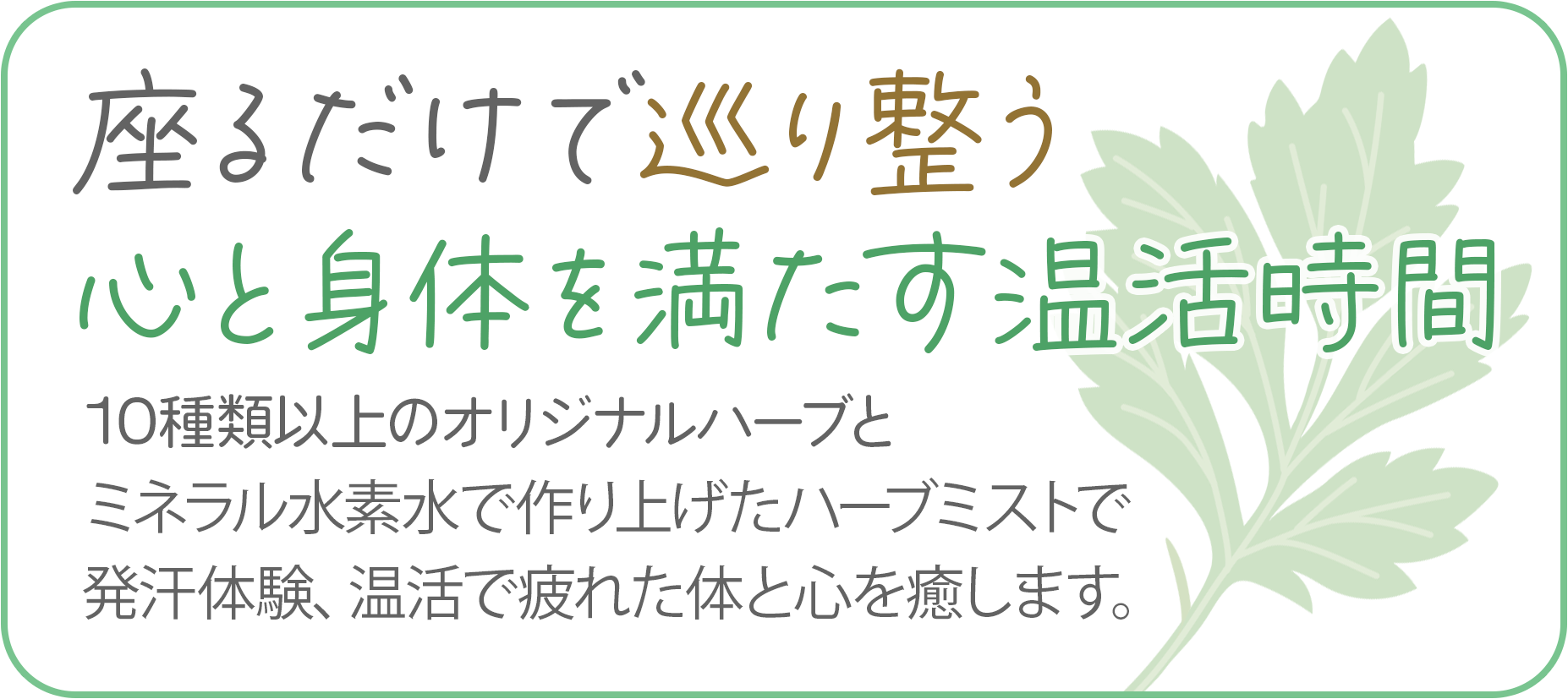 MVcatch1
